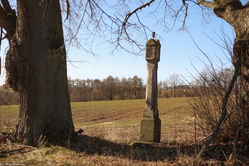 Plik:Marczów 4.jpg