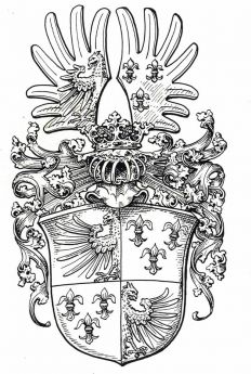 Herb wrocławskiej rodziny von Tinzmann (Stein[3])