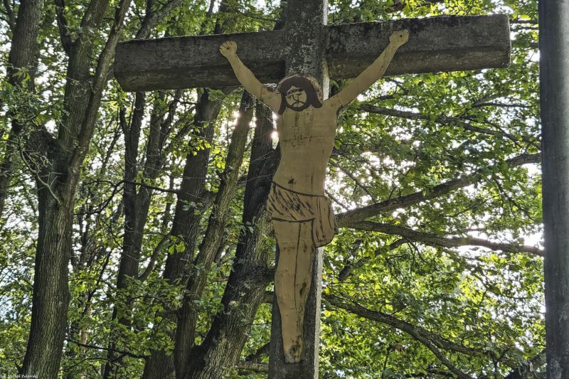Plik:Bogunice.jpg