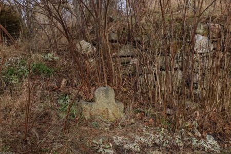 Stare Bogaczowice, pow. wałbrzyski; kamienny krzyż obok ruin dawnego kościoła św. Mikołaja z 1703 r.; wgłębienie w głowie krzyża o średnicy 4 cm i głębokości 5 cm