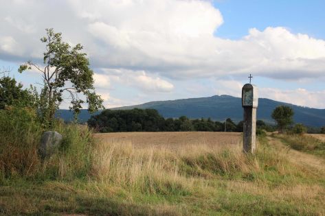 Strzelce, pow. świdnicki, II poł. XIX w.