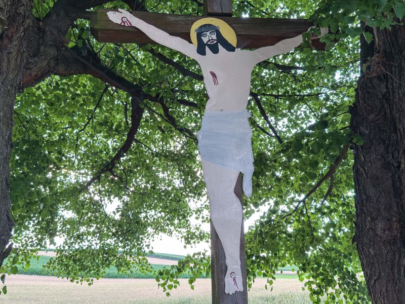 Plik:Kłodobok 1 2025.jpg