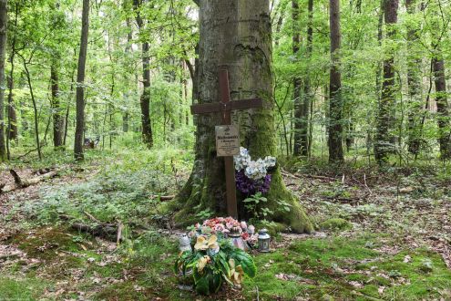 Wójcice, pow. oławski; krzyż w lesie gdzie zginął 17-letni Jan Malinowski z Warszawy, o którym nic więcej nie wiadomo; inskrypcja mówi, że zginął za ojczyznę