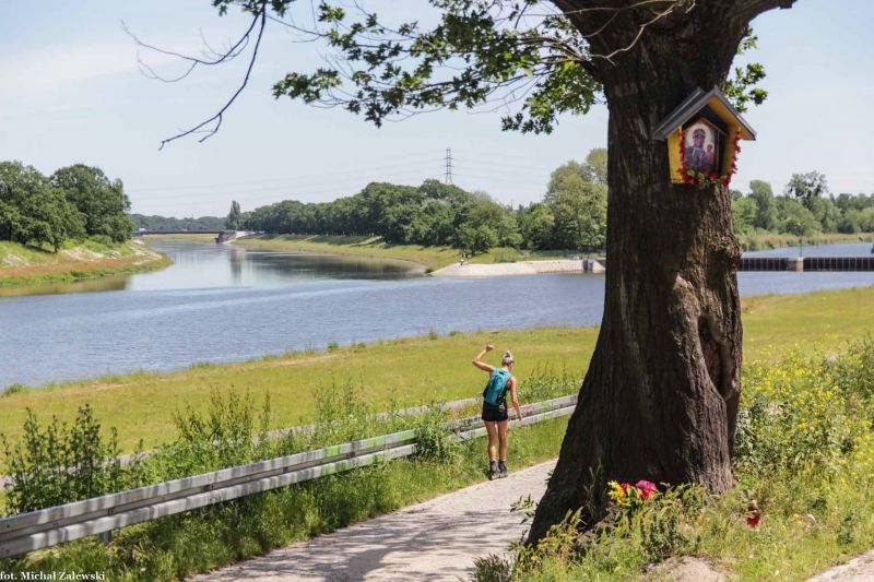 Plik:Kleczków Wrocław skrzynkowa 2017.jpg