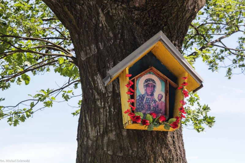 Plik:Kleczków Wrocław skrzynkowa 2017a.jpg