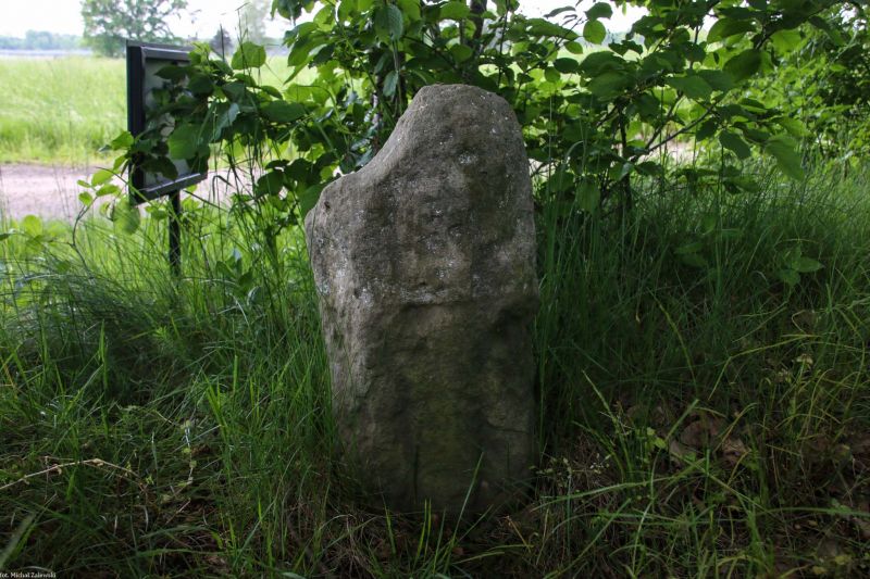 Plik:Pątnów Legnicki 1.jpg