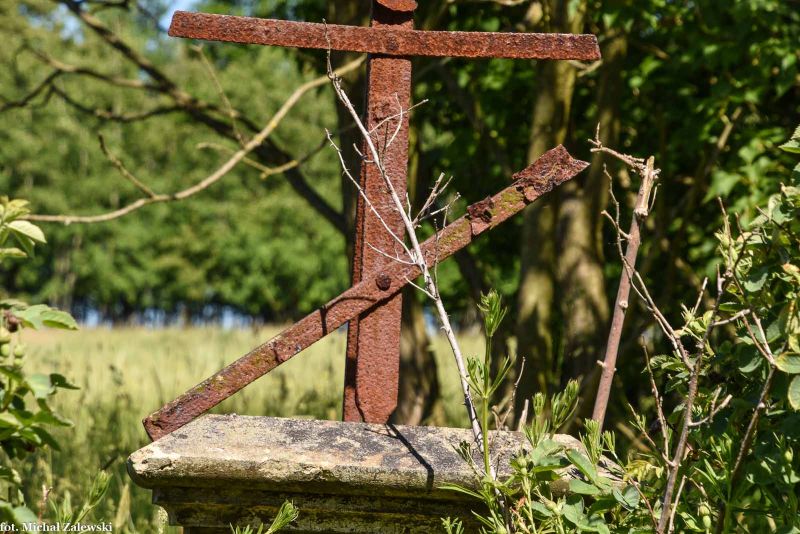 Plik:Wojciechów 4b.jpg