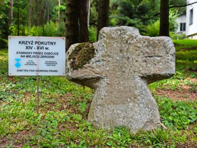 Cieszyn Kalembice; kamienny krzyż z krzyżykami wyrytymi na ramionach; być może krzyż graniczny. Pierwotnie stał nad rzeczką Podlipianką rozgraniczającą wsie Kalembice i Pastwiska.