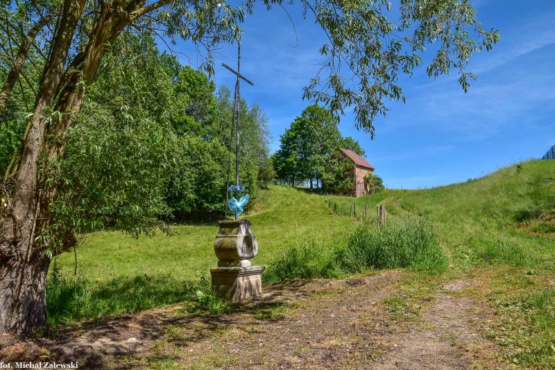 Plik:Wojciechów 5.jpg