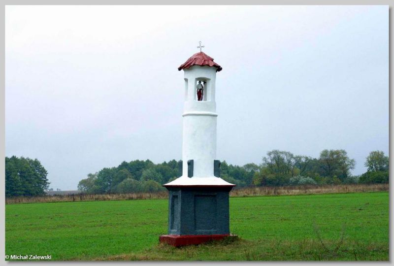 Plik:Arbasy latarniowa.jpg