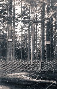 Duszniki-Zdrój; Czarny Krzyż na granicy niemiecko-czeskiej, fot. lata 30. XX w.
