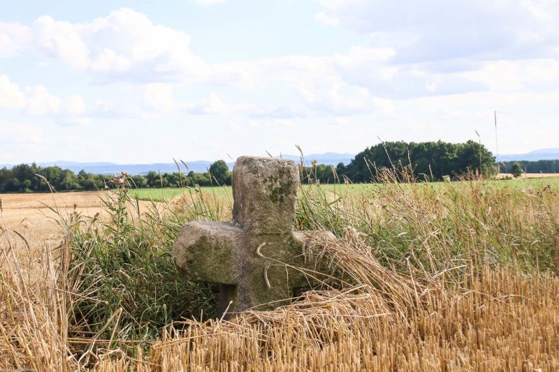 Plik:Jaroszów 3.jpg