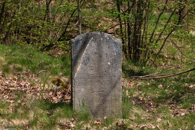 Plik:Oeslera pomnik.jpg