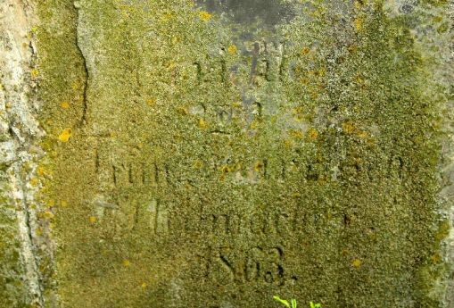 4. Napis na tylnej ścianie cokołu, fot. 2012