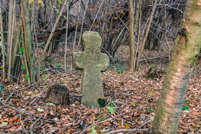 Plik:Wieszkowice k. kamienny.jpg