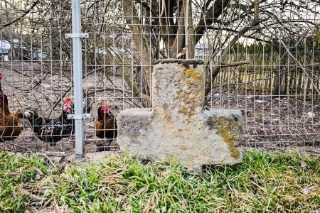 Golejów, pow. lwówecki, gm. Lubomierz; kamienny krzyż z bardzo słabo już widocznym rytem daty 1651