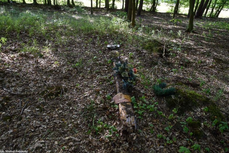 Plik:Zabór Wielki cmentarz.jpg