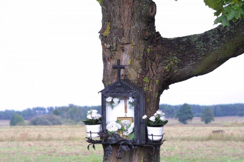 Plik:Przytuły kapliczka na drzewie.jpeg