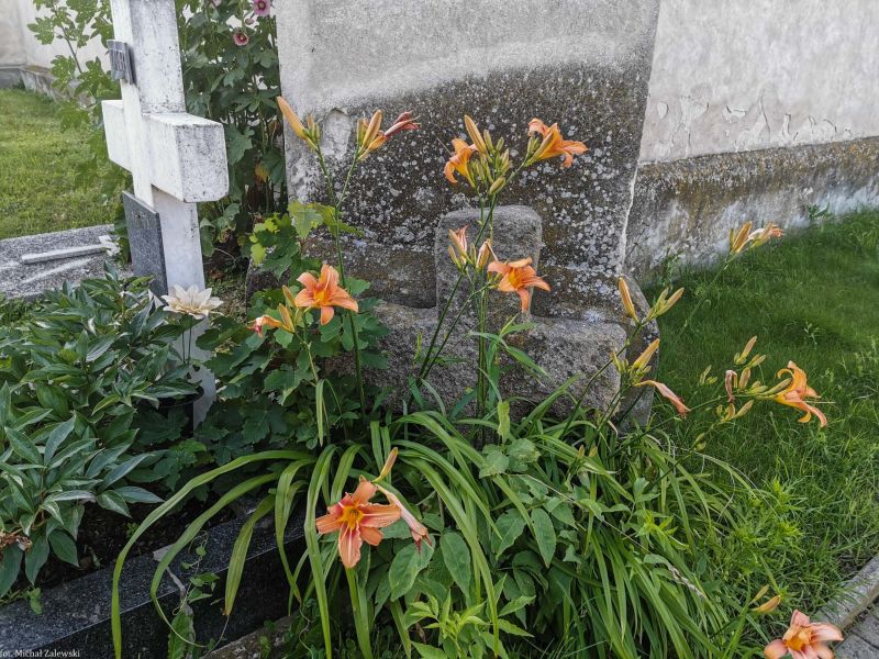 Plik:Radzikowice 2.jpg