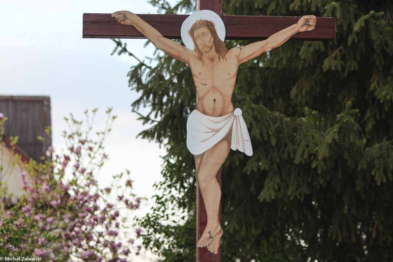 Plik:Stary Wiązów 1.jpg