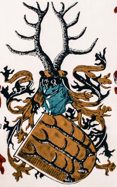 Plik:Schweidnitz, Stein.jpg