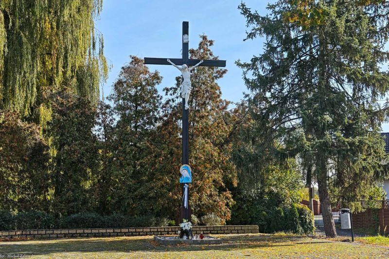 Plik:Czarnowąsy 1.jpg