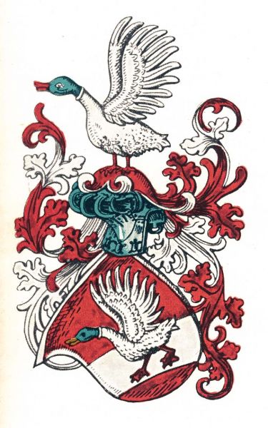 Plik:Skal, Stein.jpg