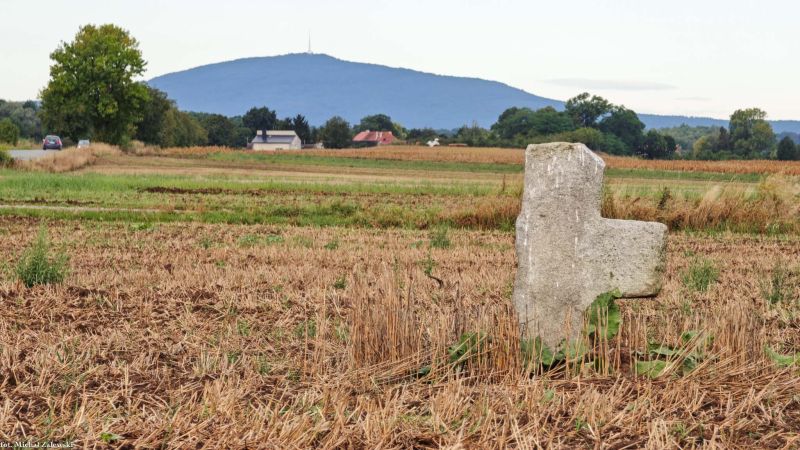 Plik:Ludów Śląski 2.jpg