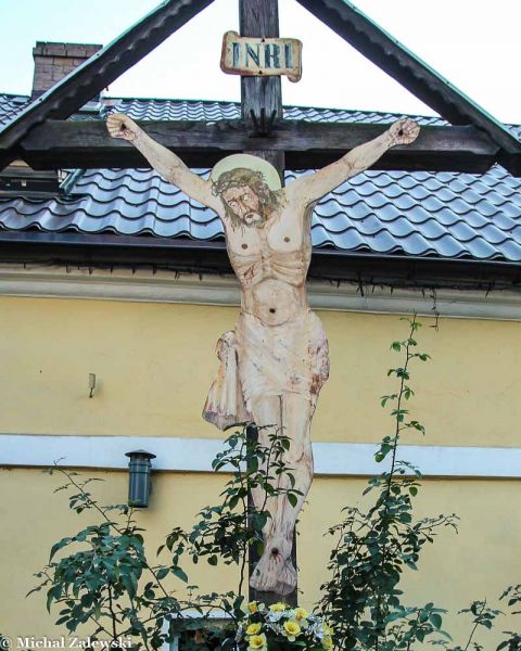 Plik:Pełcznica 5.jpg