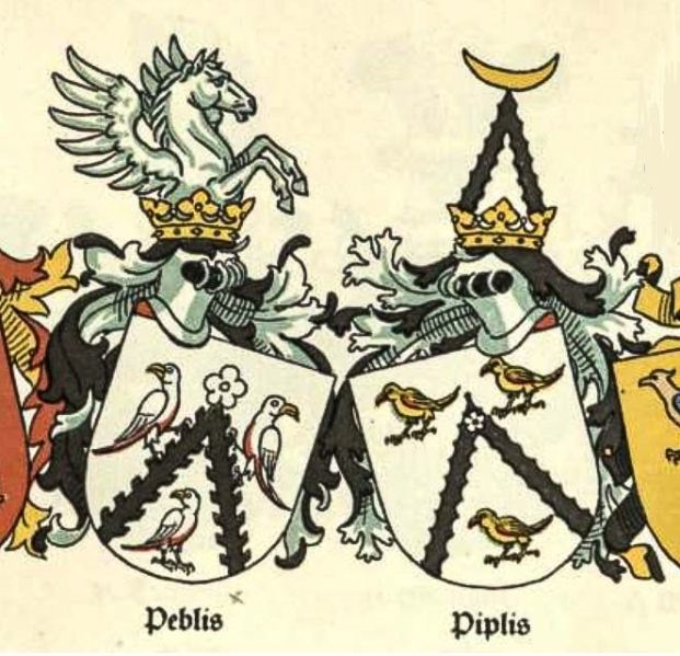 Plik:Peblis Piplis.jpg