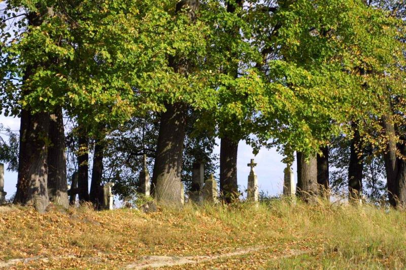 Plik:Podlesie cmentarz ewangelicki.jpeg