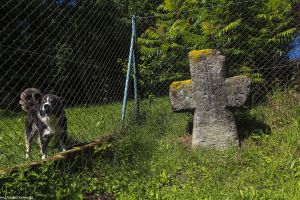 Krzyż pokutny w Wambierzycach