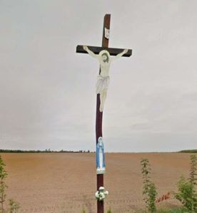 Prężynka gm. Lubrza (fot. 2013)