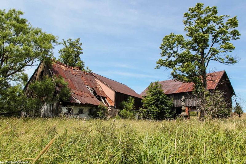 Plik:Lesica Immaculata.jpg