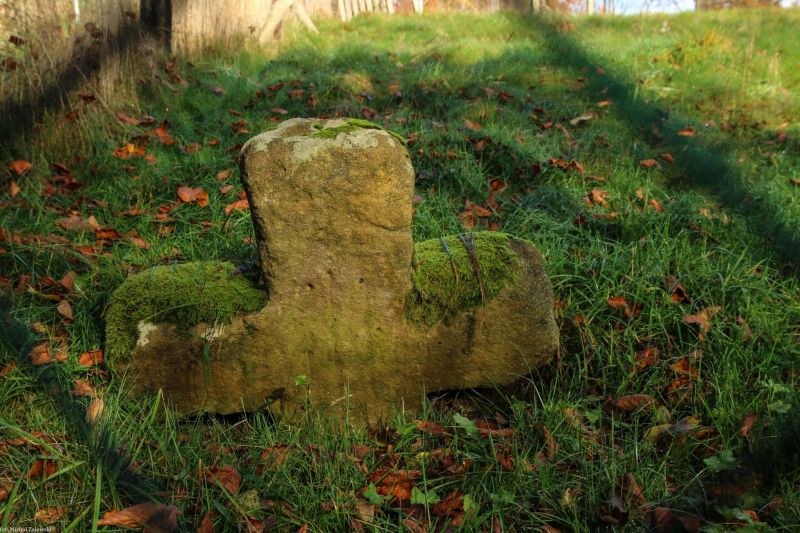 Plik:Dziwiszów k. kamienny 2.jpg