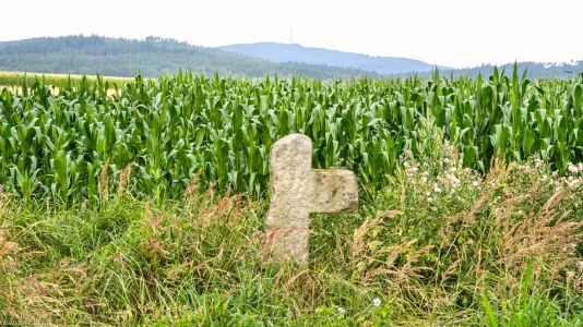 Młynica, pow. dzierżoniowski, gm. Łagiewniki; kamienny krzyż z widokiem na Ślężę
