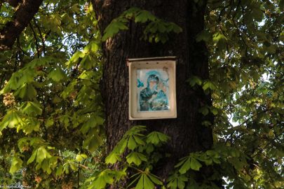 Kapliczka nadrzewna we Wrocławiu