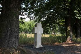 Krzyż określany jako pokutny w Lewinie Brzeskim