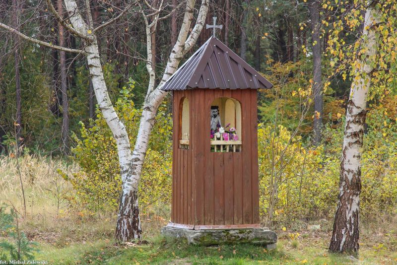 Plik:Korytków Duży kłodowa.jpg