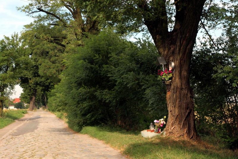 Plik:Jaszkotle kapliczka nadrzewna.jpg