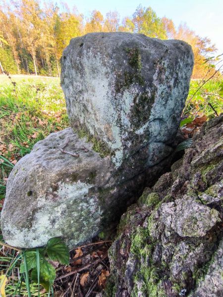 Plik:Nielestno k. kamienny 2.jpg