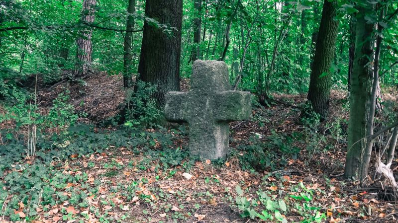 Plik:Warta Bolesławiecka k. kamienny.jpg