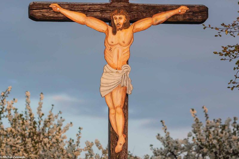 Plik:Stary Wiązów 2.jpg