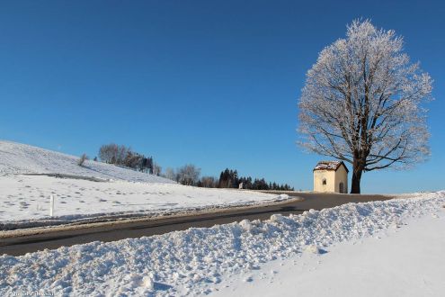 Sienna, kapliczka pod Przełęczą Puchaczówka