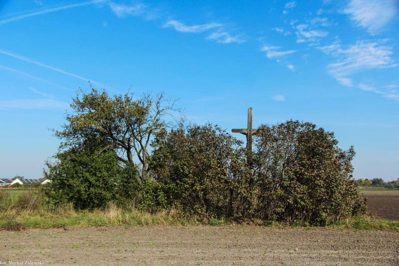 Plik:Siechnice 2013 b.jpg