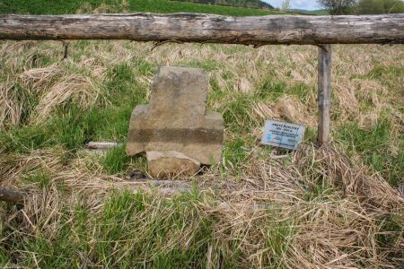 Golińsk, pow. wałbrzyski, gm. Mieroszów; kamienny krzyż na granicy polsko-czeskiej; w Czechach podawana jest lokalizacja Starostin.