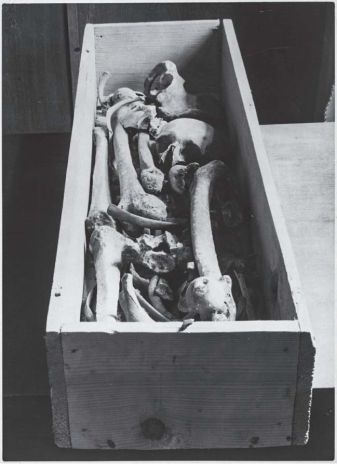 Szczątki księcia Henryka IV Prawego (1257 lub 1258 – 1290) po otwarciu sarkofagu 6 stycznia 1944 roku. Fotografia wykonana prawdopodobnie nieco później.