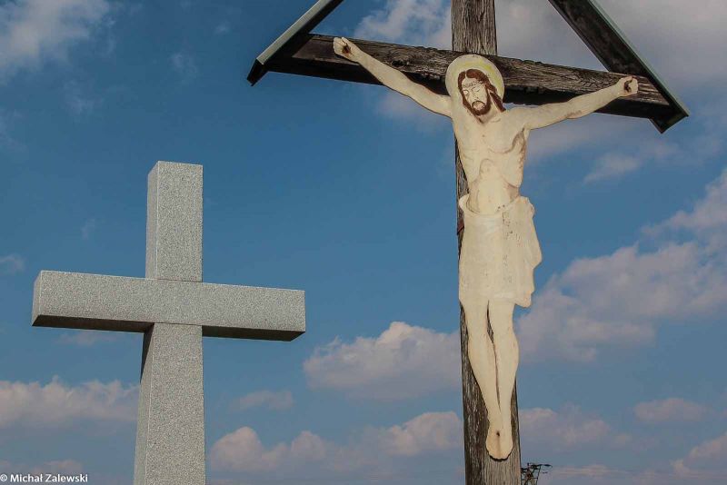 Plik:Pełcznica 3.jpg