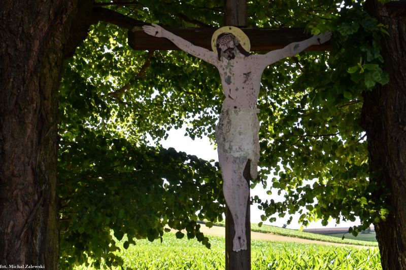 Plik:Kłodobok 1.jpg