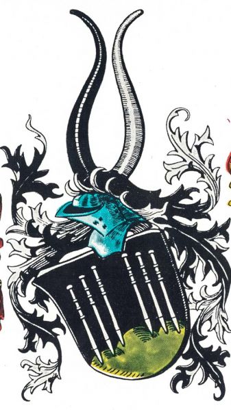 Plik:Münsterberg, Stein.jpg